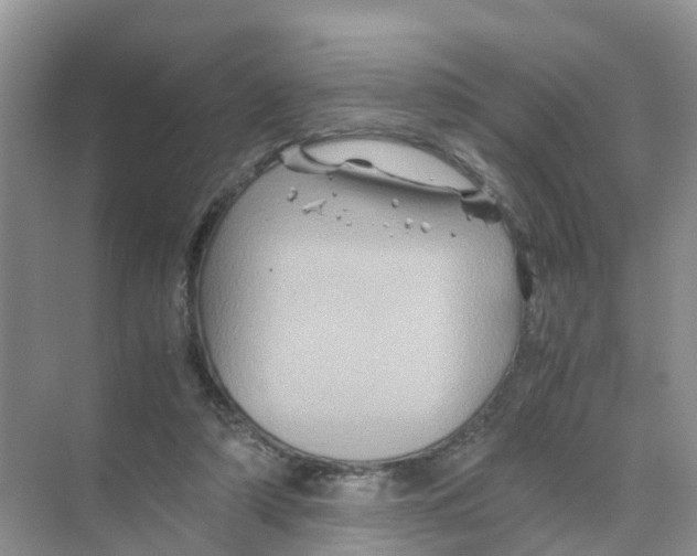 X0000070170306200606231928