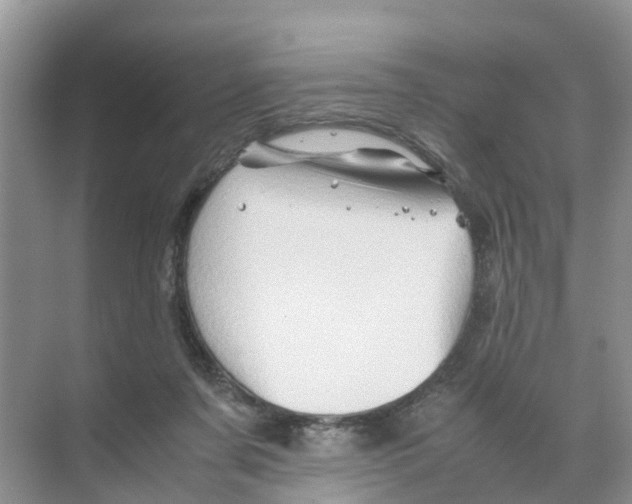 X0000070170311200606231928