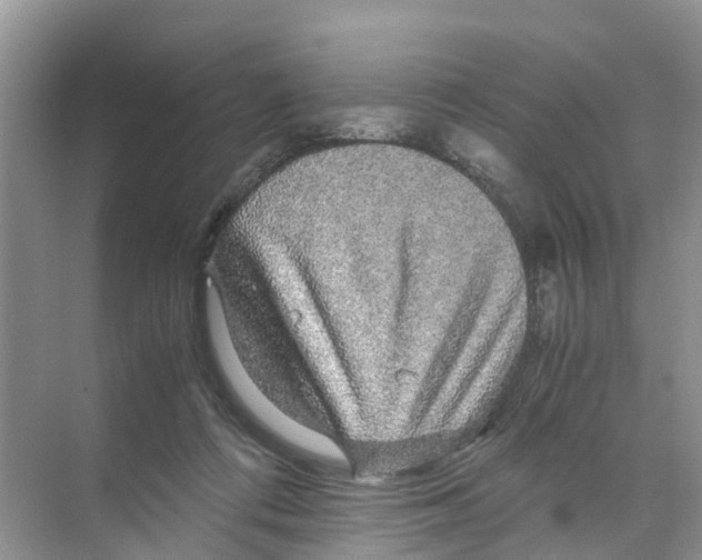 X0000070170312200606231928