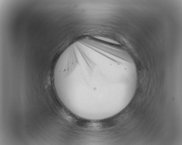 X0000070170313200606231928