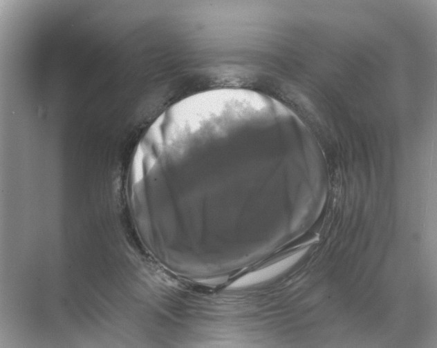 X0000070170314200606231928