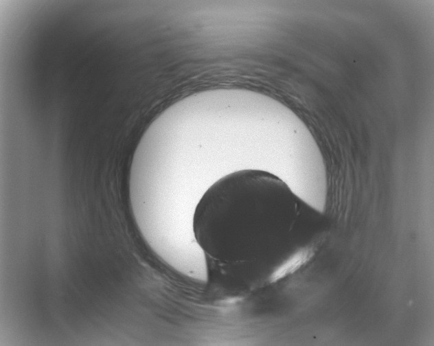 X0000070170319200606231927