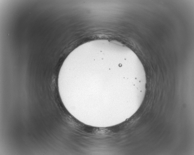 X0000070170321200606231927