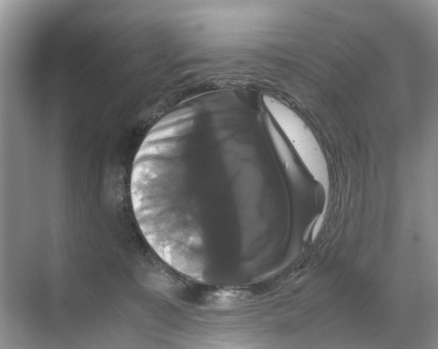 X0000070170323200606231927