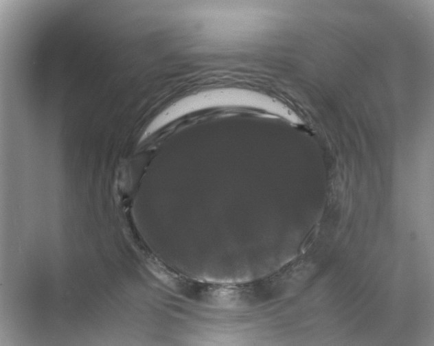 X0000070170325200606231927