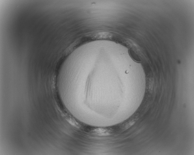 X0000070170326200606231927