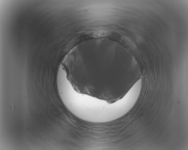 X0000070170327200606231927