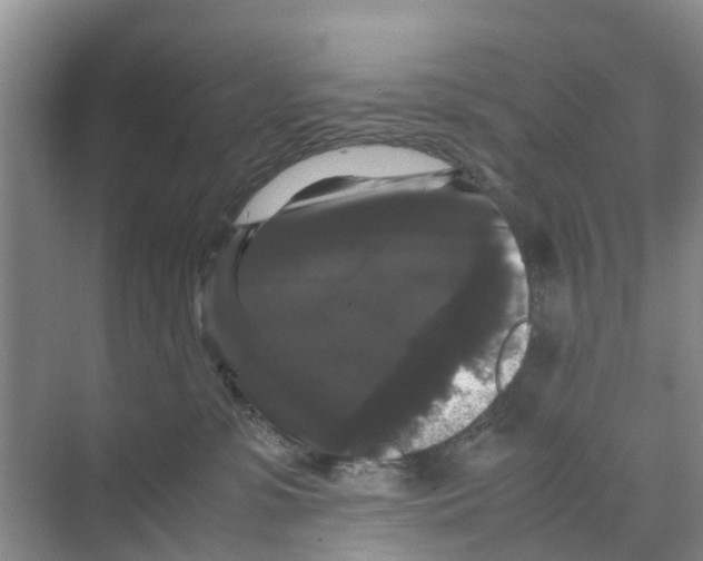 X0000070170331200606231927