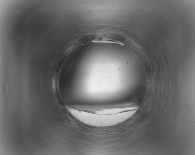 X0000070170333200606231927