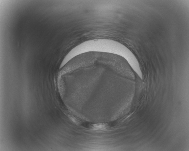 X0000070170335200606231927