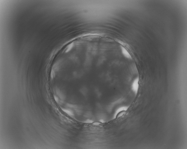 X0000070170337200606231926