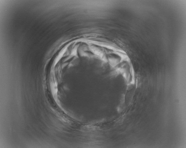 X0000070170339200606231926