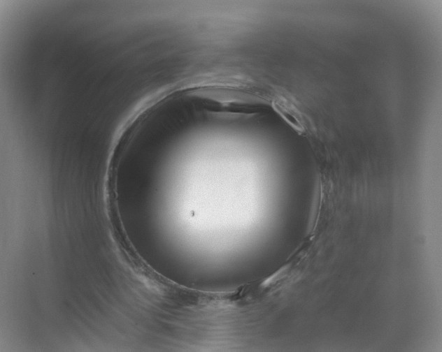 X0000070170340200606231926