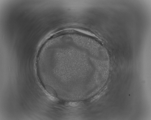 X0000070170341200606231926