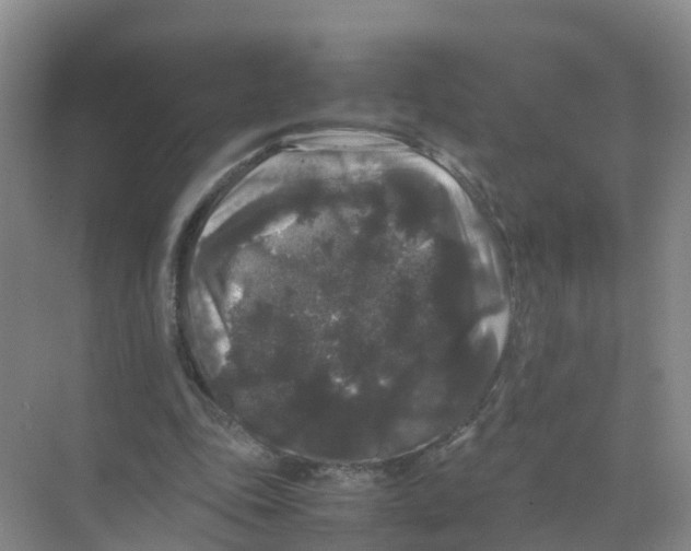 X0000070170343200606231926