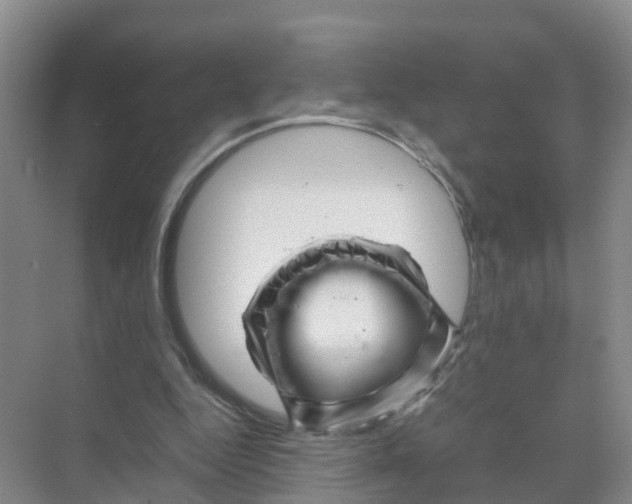 X0000070170344200606231926