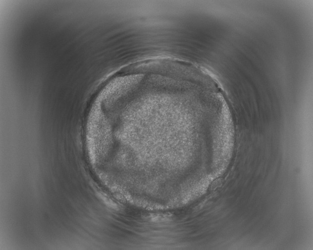 X0000070170345200606231926