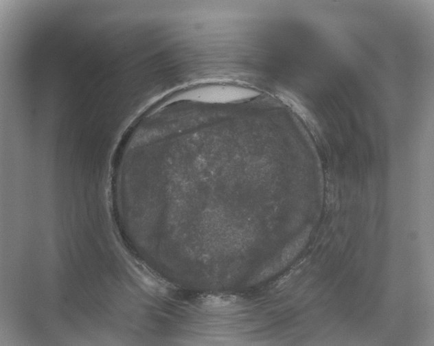 X0000070170346200606231927