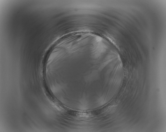 X0000070170347200606231927