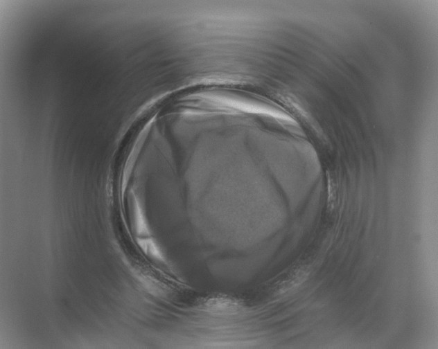 X0000070170348200606231927