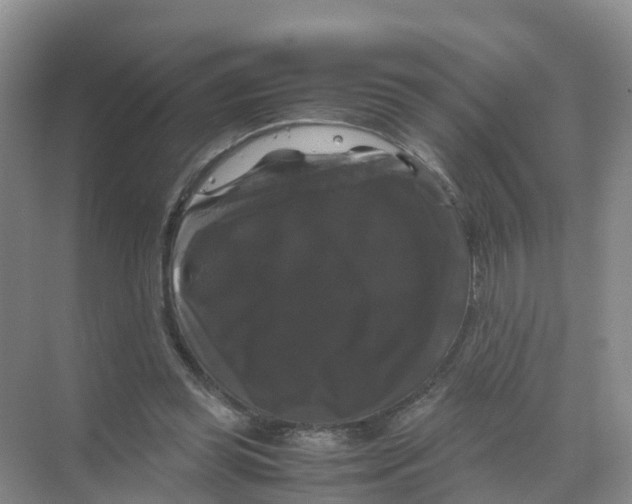 X0000070170349200606231927