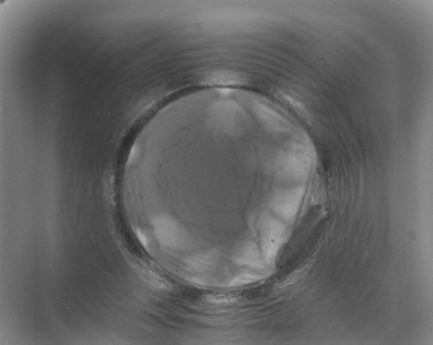 X0000070170351200606231927