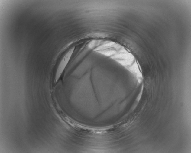 X0000070170352200606231927