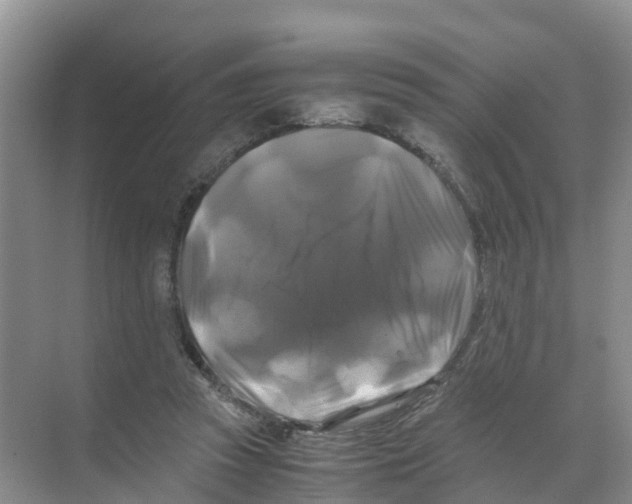 X0000070170353200606231927