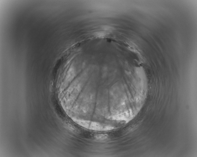 X0000070170355200606231927