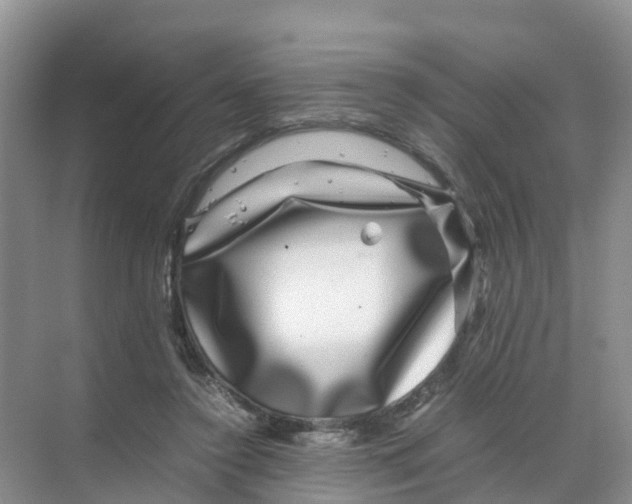 X0000070170356200606231927