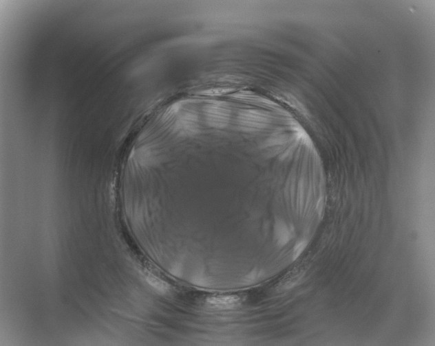 X0000070170357200606231927