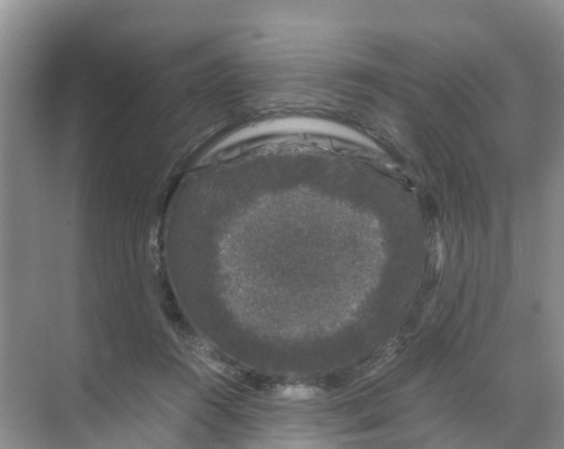 X0000070170360200606231927