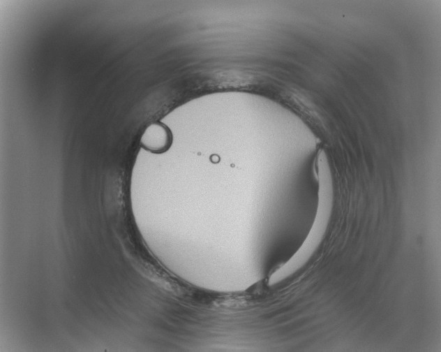 X0000070170362200606231927