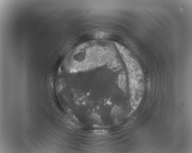 X0000070170363200606231927