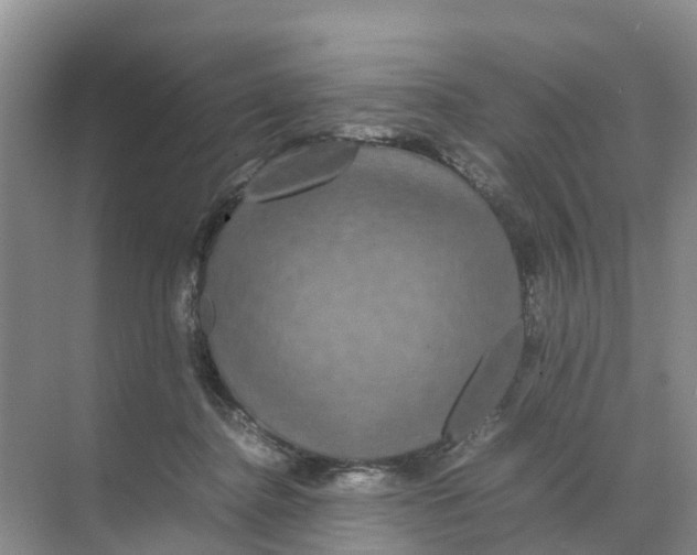 X0000070170364200606231927