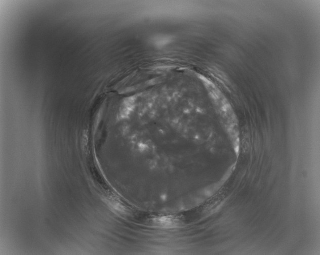 X0000070170365200606231927