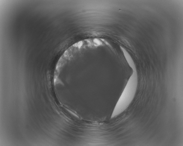 X0000070170366200606231927