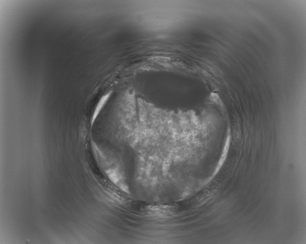 X0000070170367200606231927