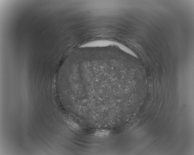 X0000070170369200606231927