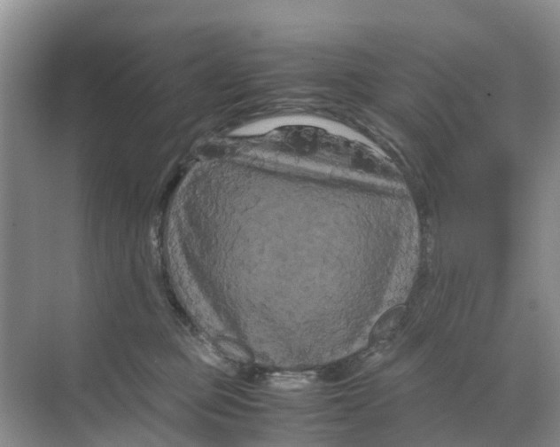 X0000070170373200606231927