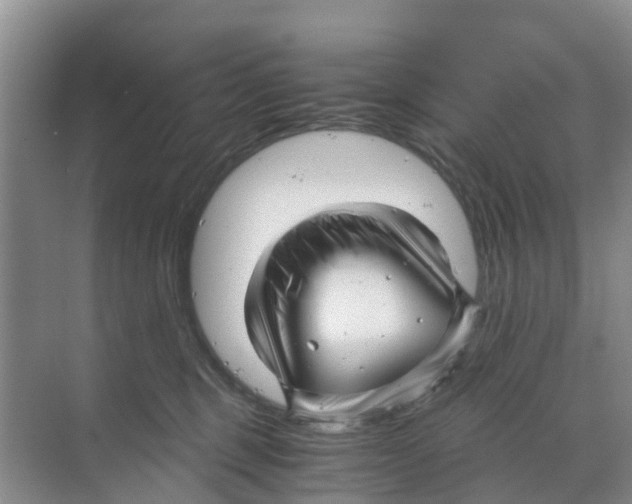 X0000070170375200606231927