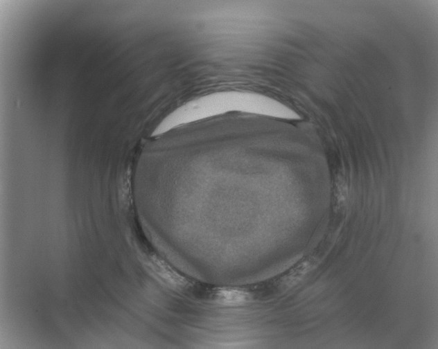 X0000070170376200606231927