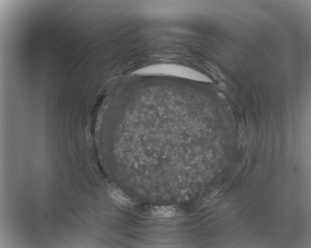 X0000070170377200606231927