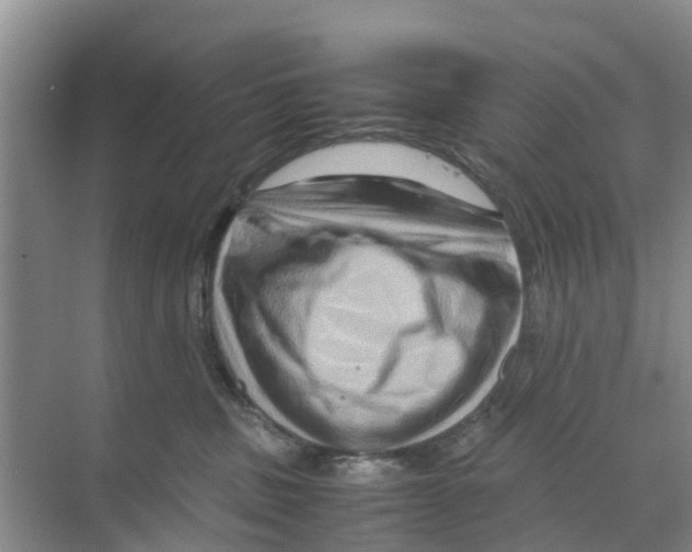 X0000070170379200606231927