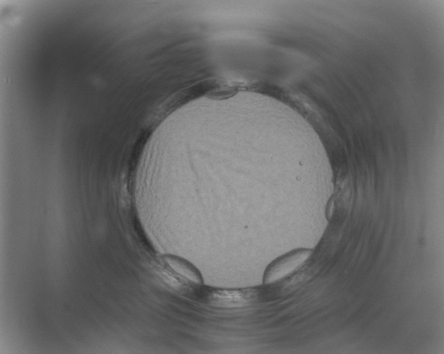 X0000070170381200606231927