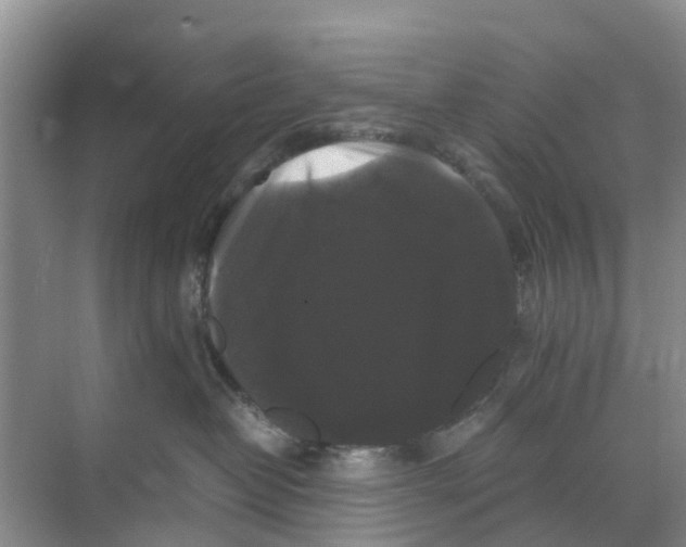 X0000070170382200606231927