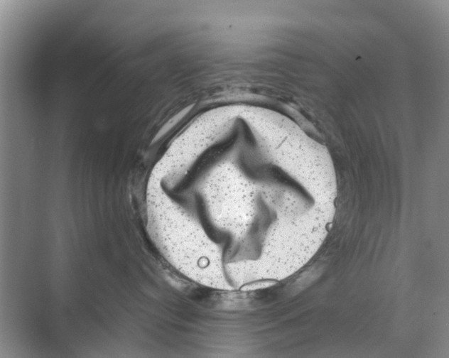 X0000070170384200606231927