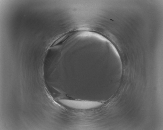 X0000070170385200606231926