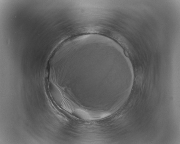 X0000070170386200606231926