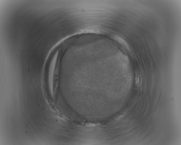 X0000070170388200606231926